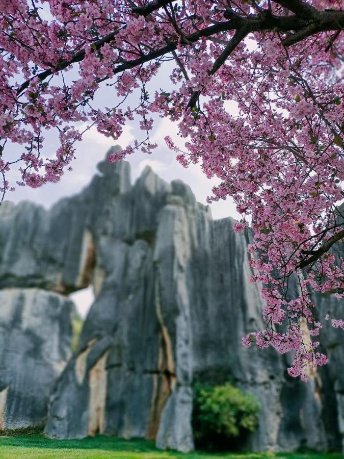 Stone Forest Mijia Guest House Shilin Exterior photo